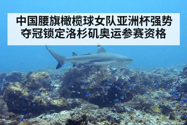 中国腰旗橄榄球女队亚洲杯强势夺冠锁定洛杉矶奥运参赛资格